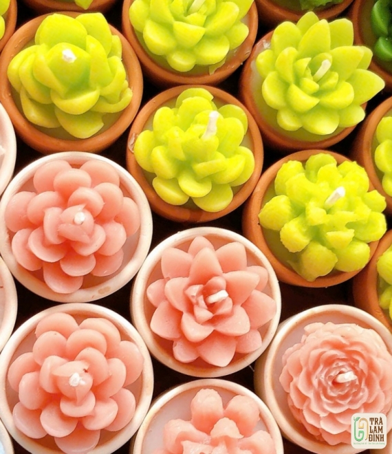  Nến Thơm Xương Rồng – Nhỏ Mà Có Võ! 