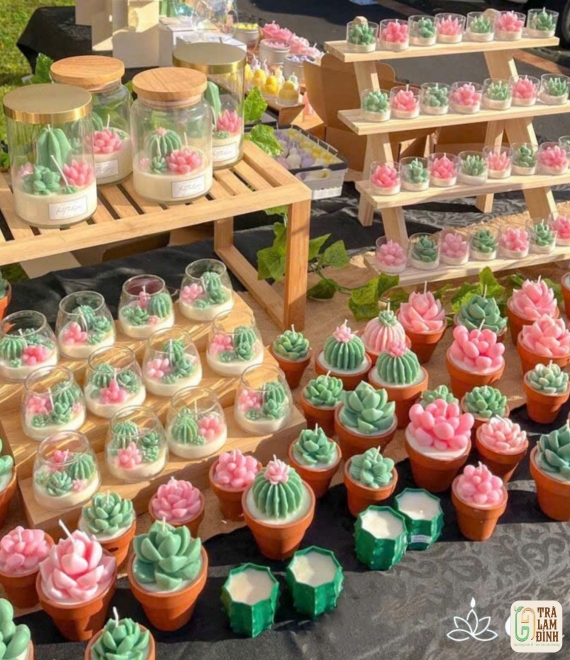  Nến Thơm Xương Rồng – Nhỏ Mà Có Võ! 