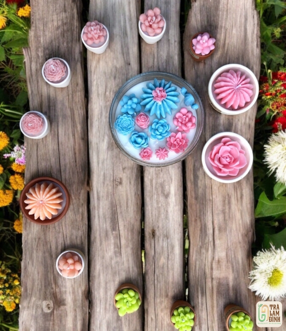  Nến Thơm Xương Rồng – Nhỏ Mà Có Võ! 