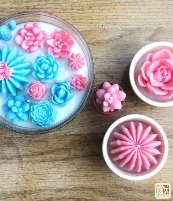  Nến Thơm Xương Rồng – Nhỏ Mà Có Võ! 