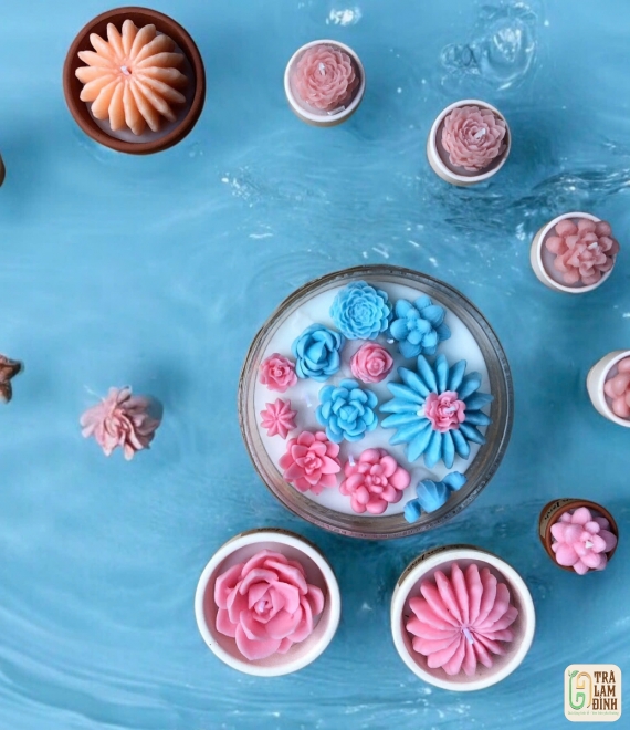  Nến Thơm Xương Rồng – Nhỏ Mà Có Võ! 